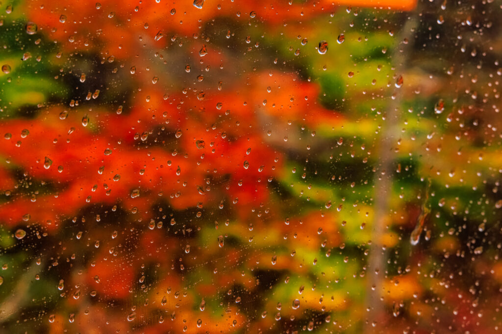 Vibrant Rain Droplets on Glass: Autumnal Wallpaper Background