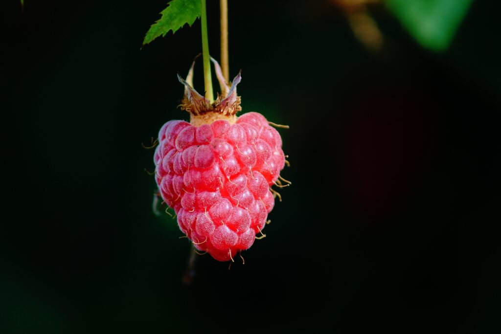 Vibrant Macro Shot of a Ripe Raspberry - Stunning Wallpaper Background