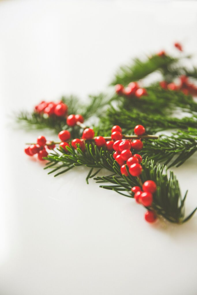 Festive Macro Shot: Fir Branches with Bright Red Berries Wallpaper