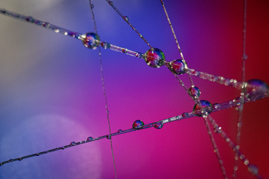 Vibrant Macro Shot of Water-Dropped Threads on Gradient Wallpaper