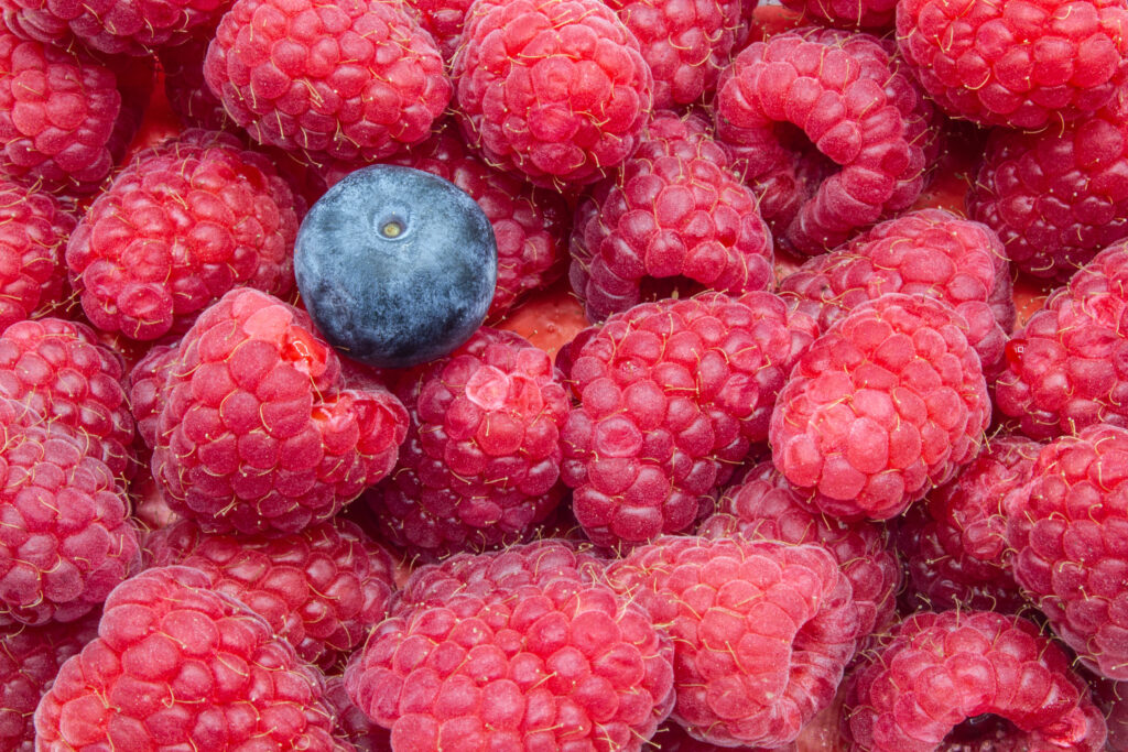 Vibrant Macro Wallpaper of Ripe Raspberries & Blueberry Textures