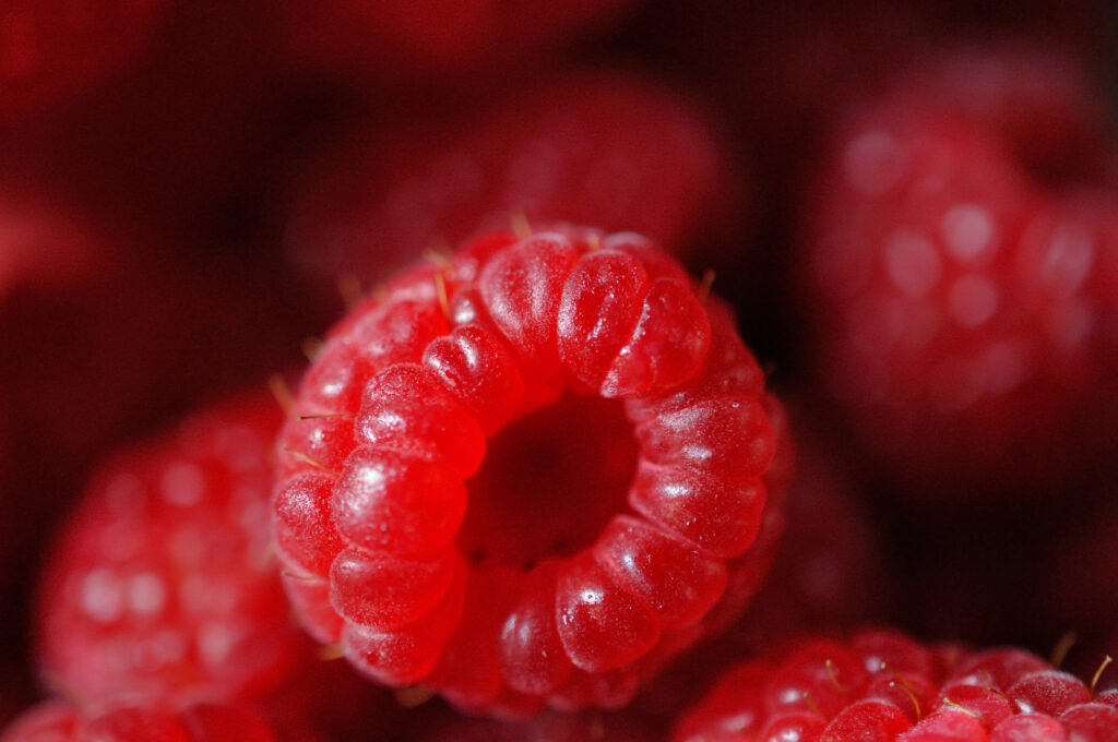 Vibrant Macro Wallpaper: Ripe Red Raspberries in Rich Textures
