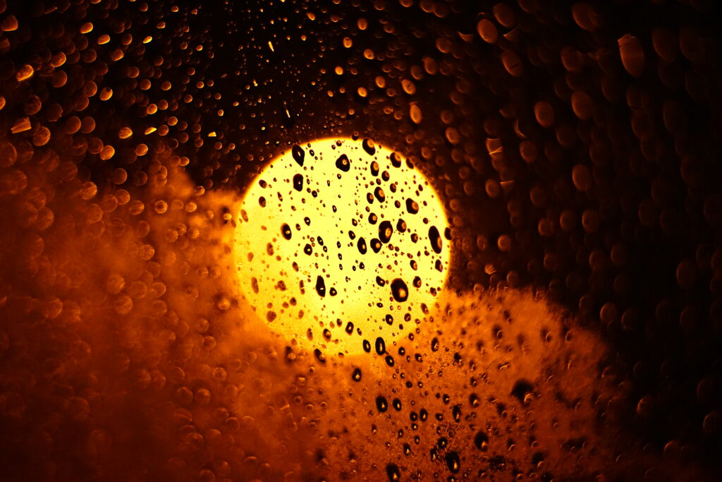 Vibrant Macro Wallpaper: Shimmering Water Droplets & Warm Light
