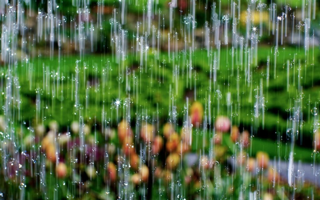 Vibrant Macro Wallpaper: Sparkling Rain Drops & Colorful Flowers