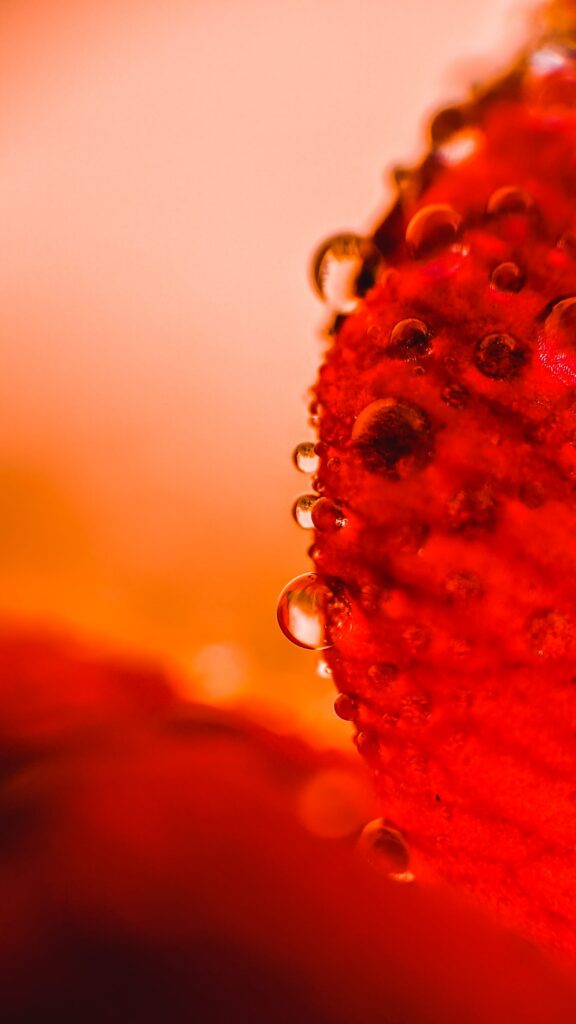 Vibrant Red Surface Macro Wallpaper with Water Droplets