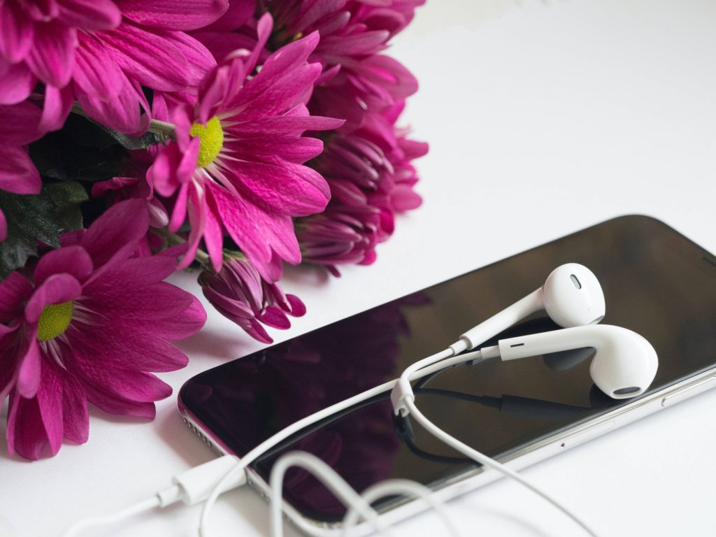 Vibrant magenta chrysanthemums next to smartphone with white earbuds bright floral wallpaper background