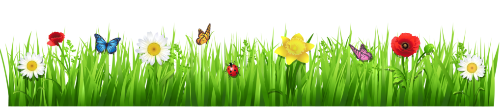 Vibrant Meadow Wallpaper with Colorful Flowers & Insects on Transparent