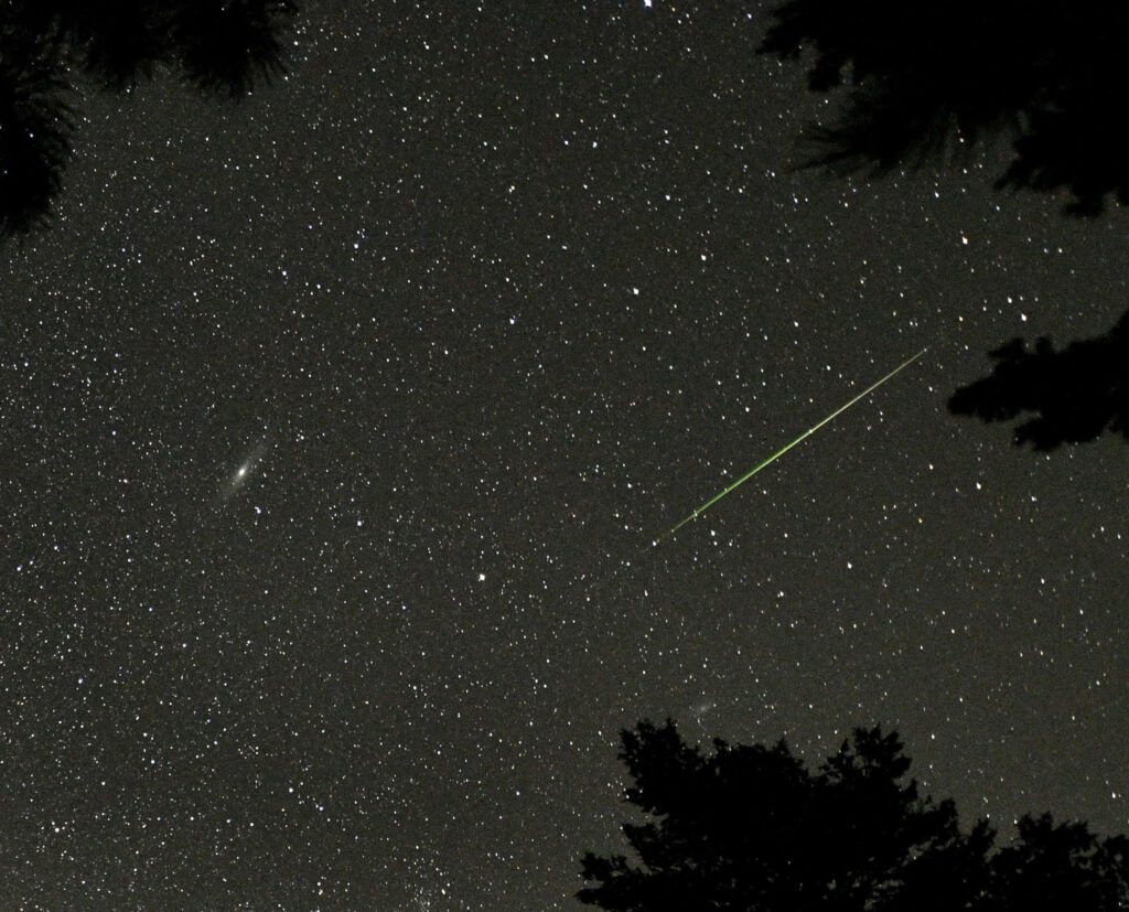 Stunning Meteor Wallpaper: Vibrant Night Sky & Tree Silhouettes