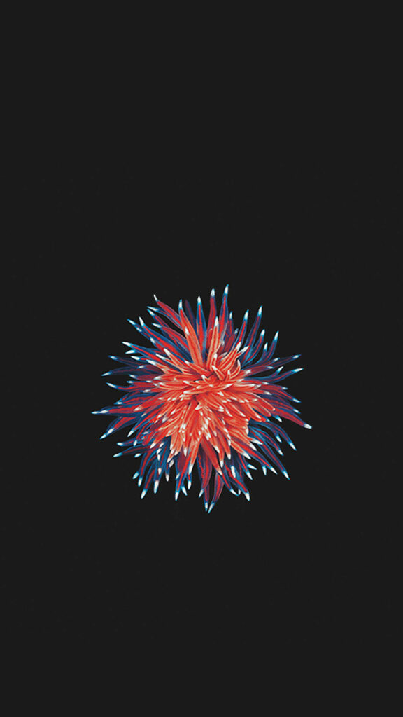 Vibrant Cellular Artistry: Captivating Red and Blue Microorganism Pattern on Sleek Black Iphone SE Wallpaper