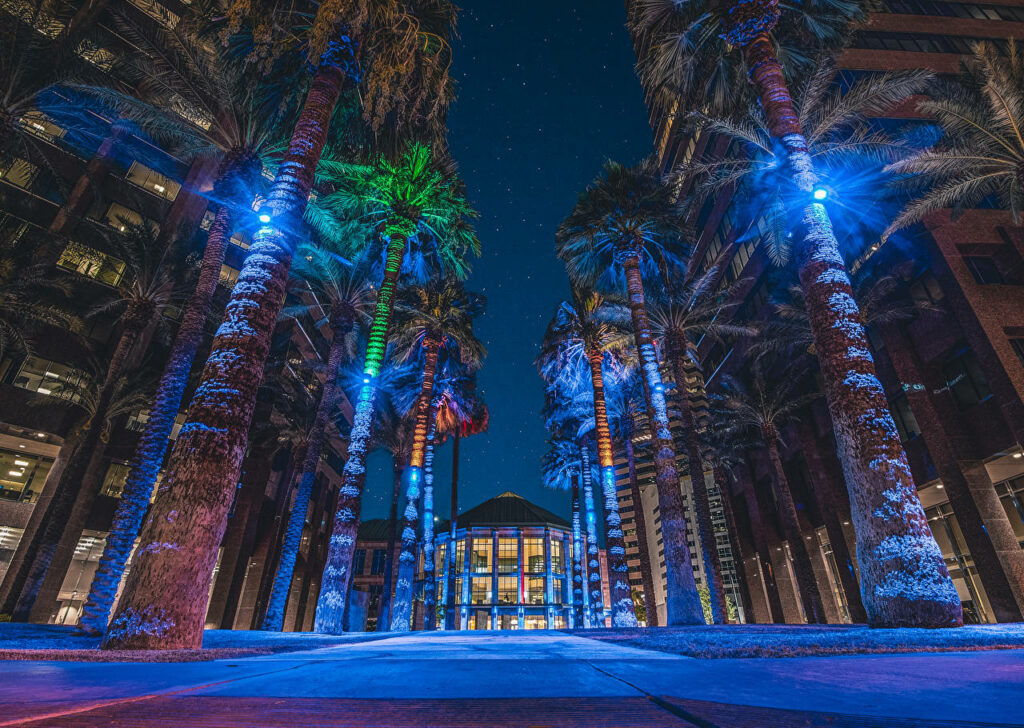 Midtown Phoenix Nightscape: Illuminated Palm Trees & Starry Sky Wallpaper