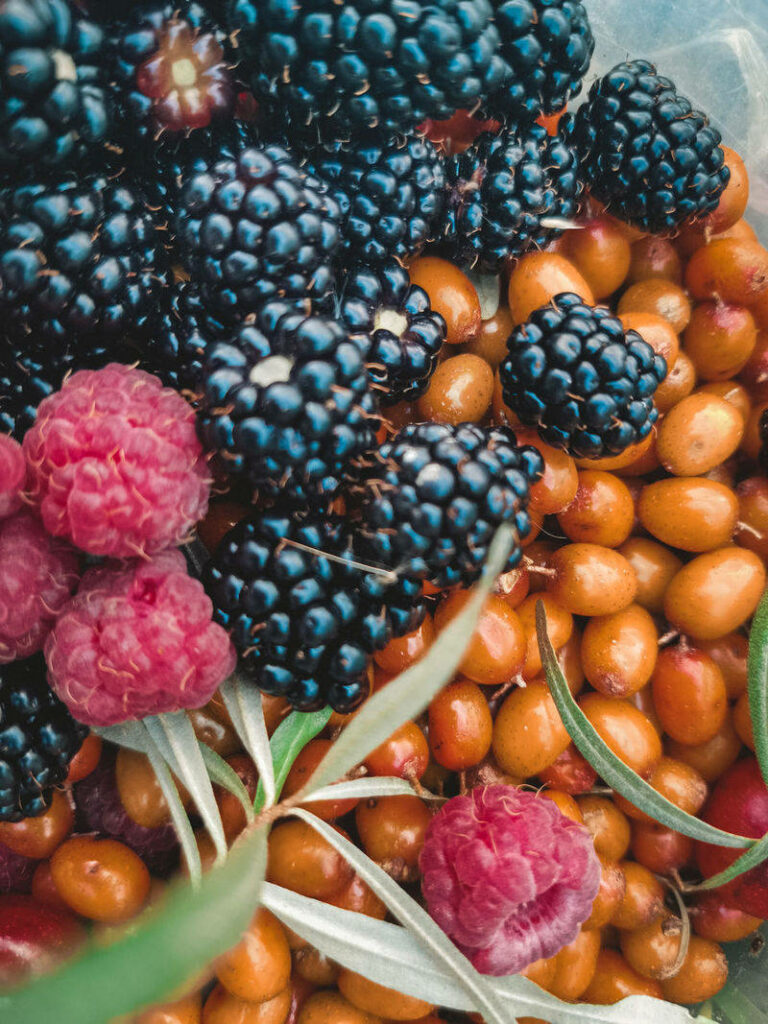 Vibrant mixed berries wallpaper with fresh boysenberries raspberries and golden berries background
