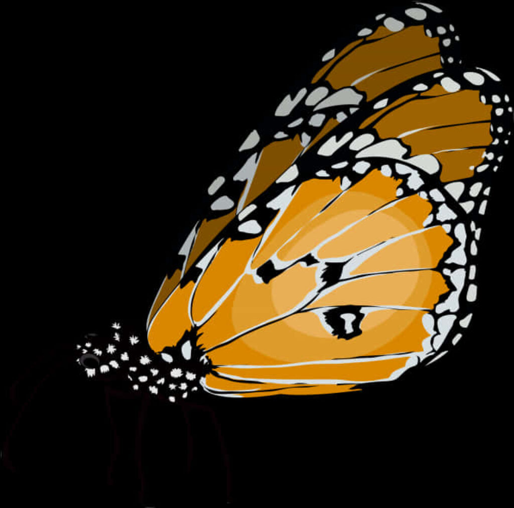 Intricate Monarch Butterfly Vector Art Wallpaper on Dark Background