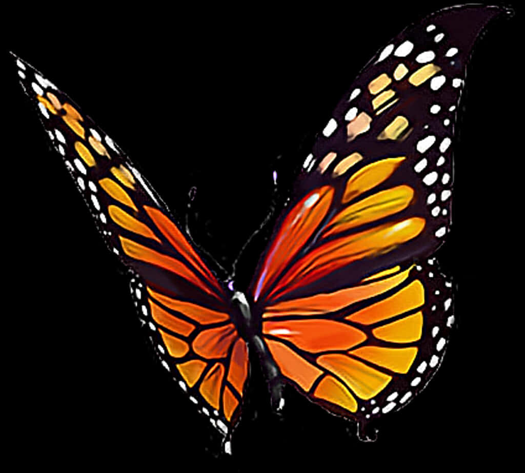 Vibrant Monarch Butterfly Wallpaper: Bright Orange with Black & White