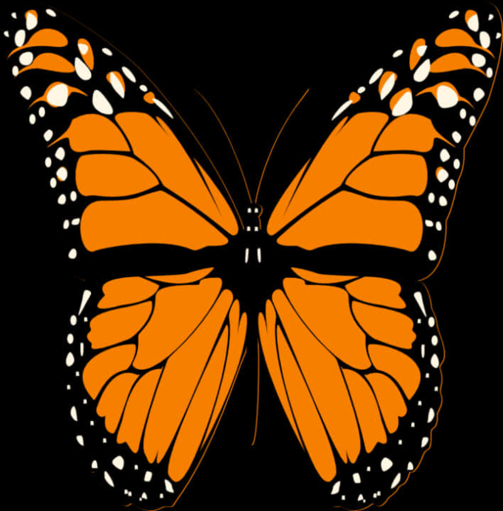 Vivid Monarch Butterfly Illustration Wallpaper on Black Background