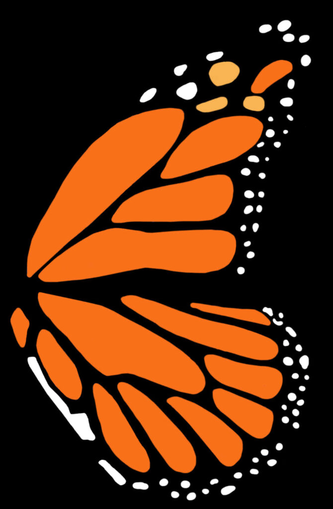 Vibrant Monarch Butterfly Wing Abstract Wallpaper Design