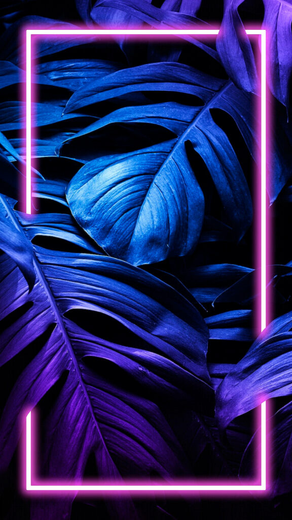 Vibrant Monstera Leaves Neon Wallpaper for 4K iPhone Background