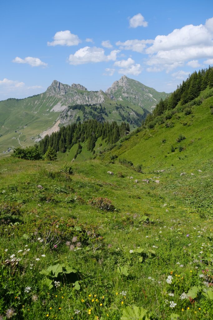 Vibrant mountain landscape with wildflowers lush grass rolling hills and blue sky with clouds Wallpaper