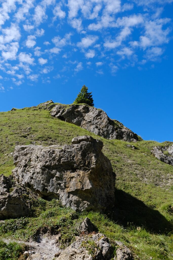 Vibrant nature wallpaper with rugged mountain slope lone tree rocky outcrops blue sky clouds