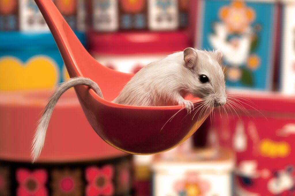 “Playful Mouse in Orange Ladle: Colorful Kitchen Scene Wallpaper”