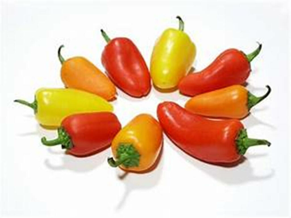 Vibrant Circular Bell Pepper Arrangement - Fresh Wallpaper Background