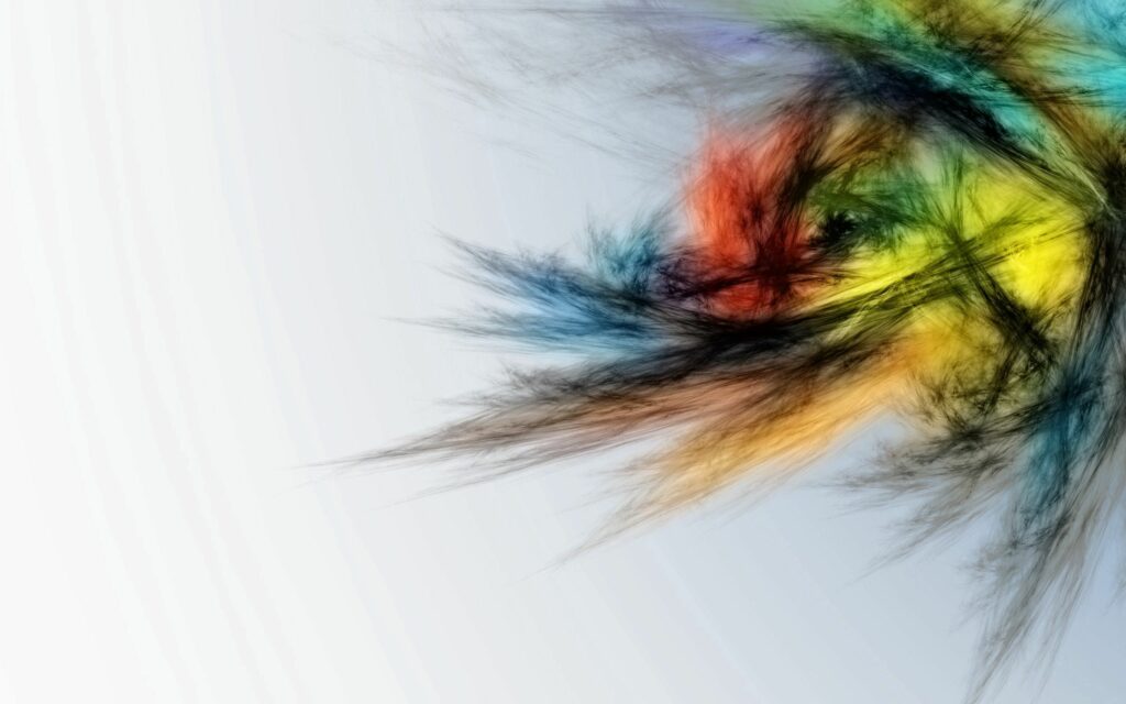 Vibrant Multi-Colored Feather Wallpaper on Light Gray Background