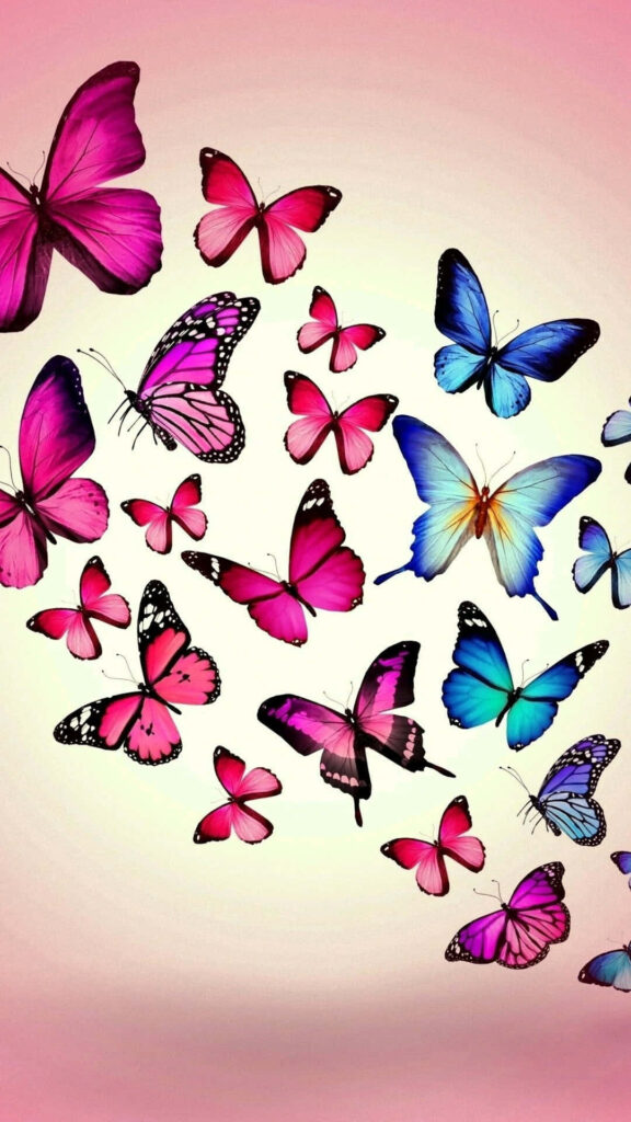 Vibrant Butterfly Wallpaper: Pink, Blue & Multicolored Serenity