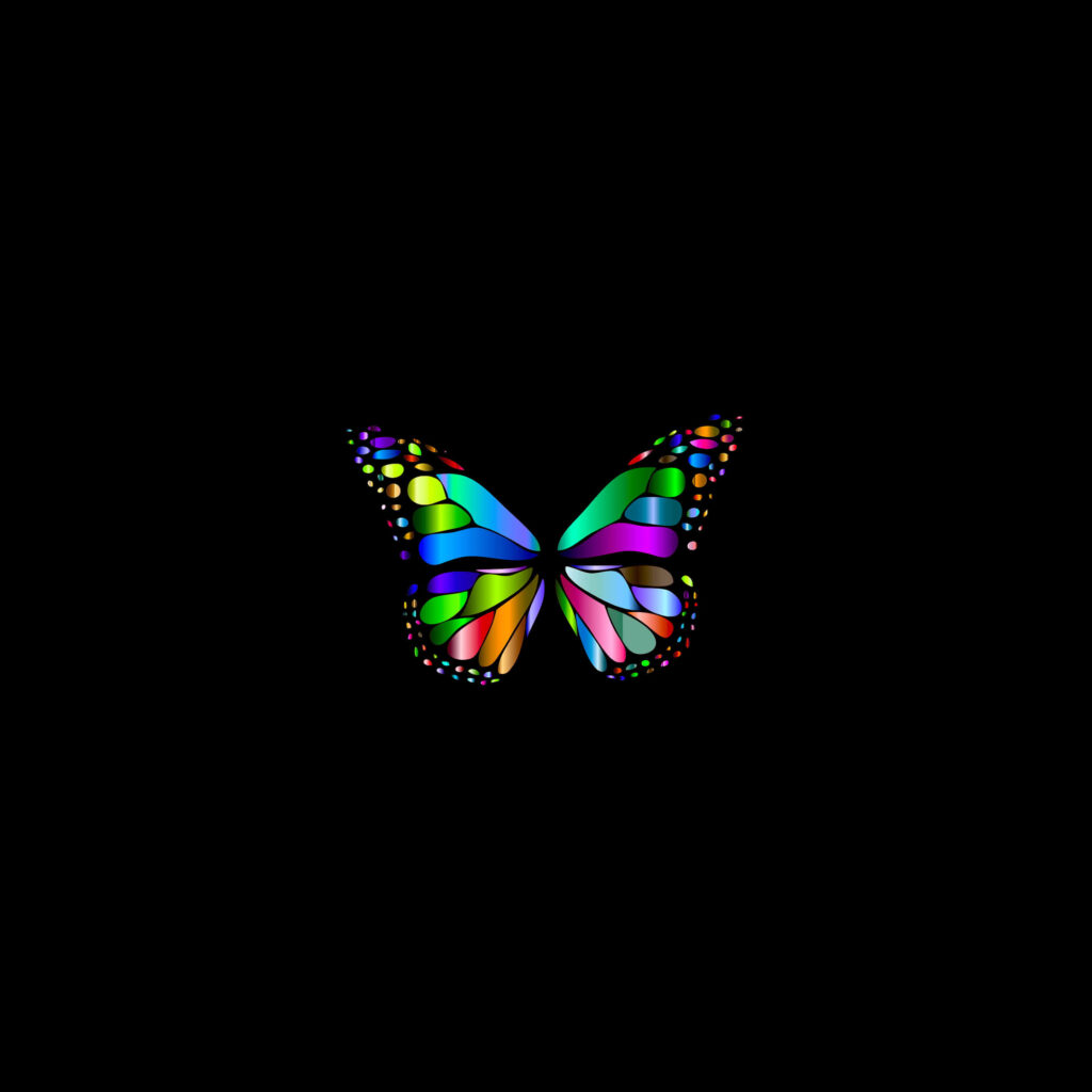 Vibrant Multicolored Butterfly Wallpaper Against Black Background