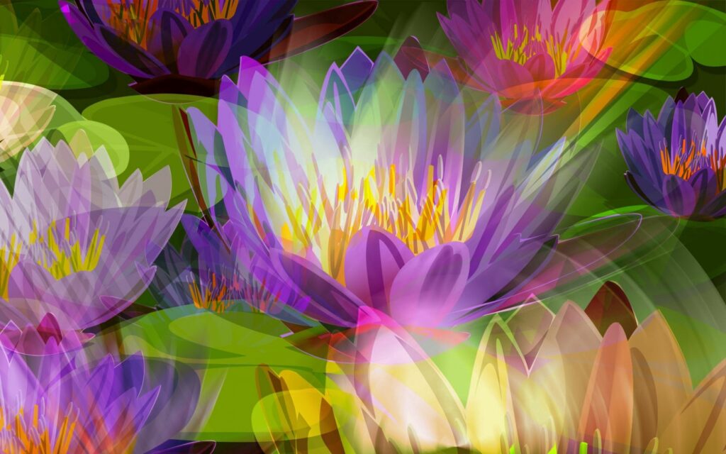 Vibrant Multicolored Lotus Flower Wallpaper for Widescreen Displays