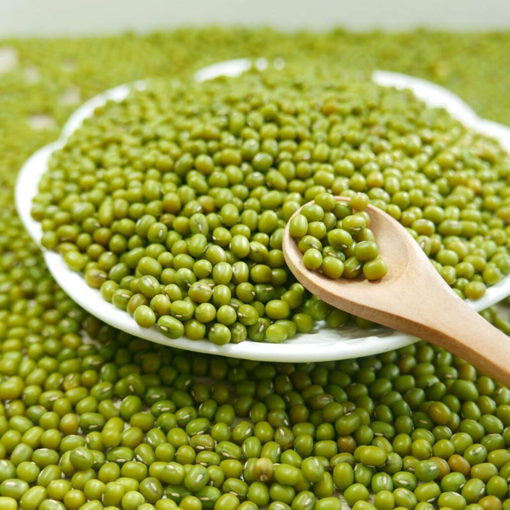 Vibrant Mung Bean Wallpaper: Close-Up Texture on White Plate