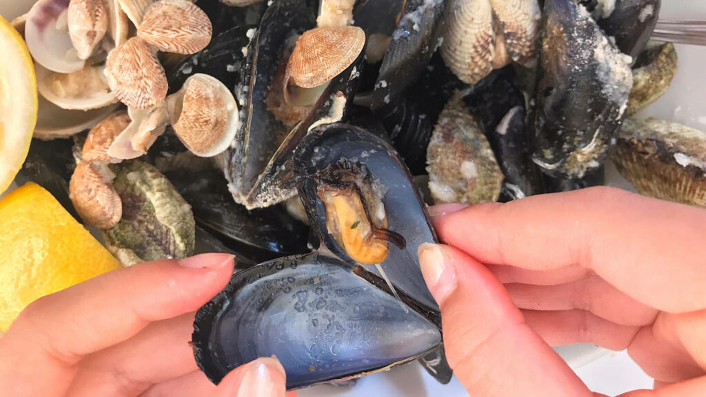 Vibrant Mussels & Clams Close-Up: Fresh Seafood Wallpaper Background