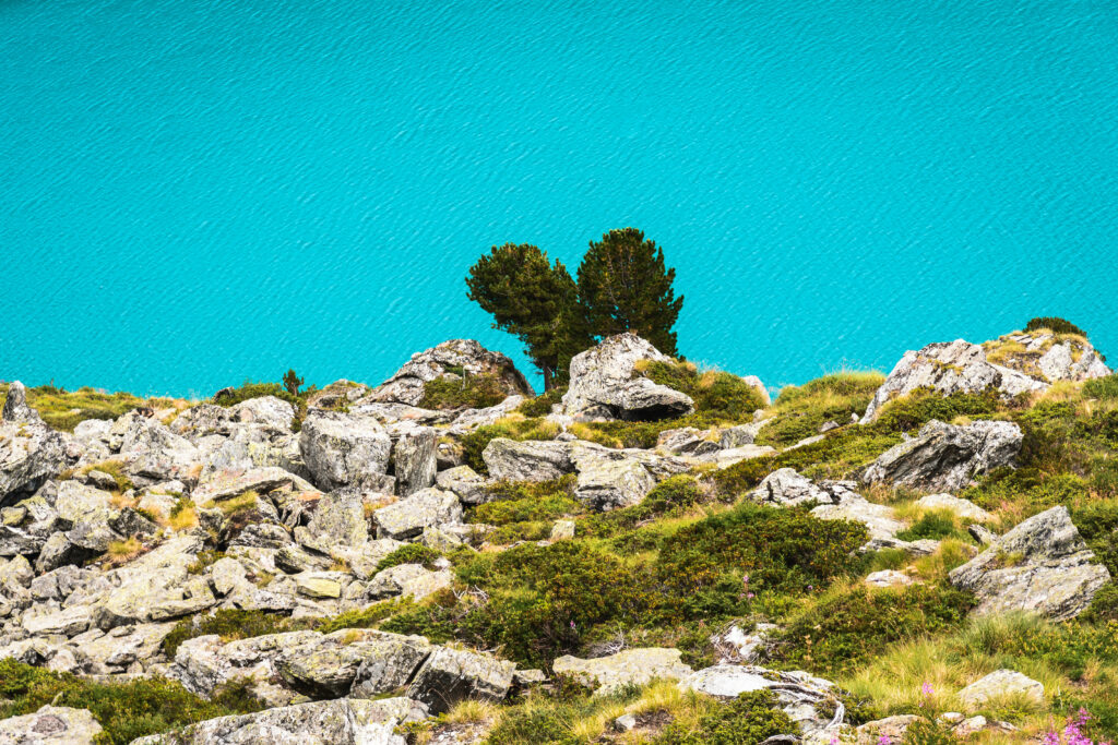 Vibrant natural landscape wallpaper with rugged stones lush green moss and turquoise blue background