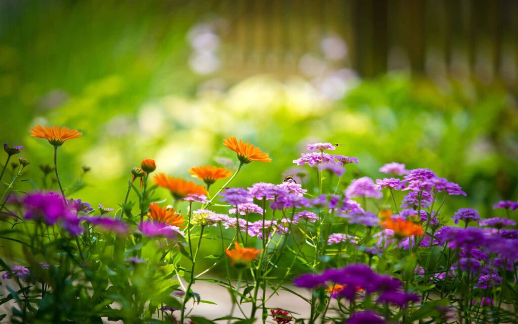 Vibrant Garden Wallpaper: Colorful Flowers in Bloom