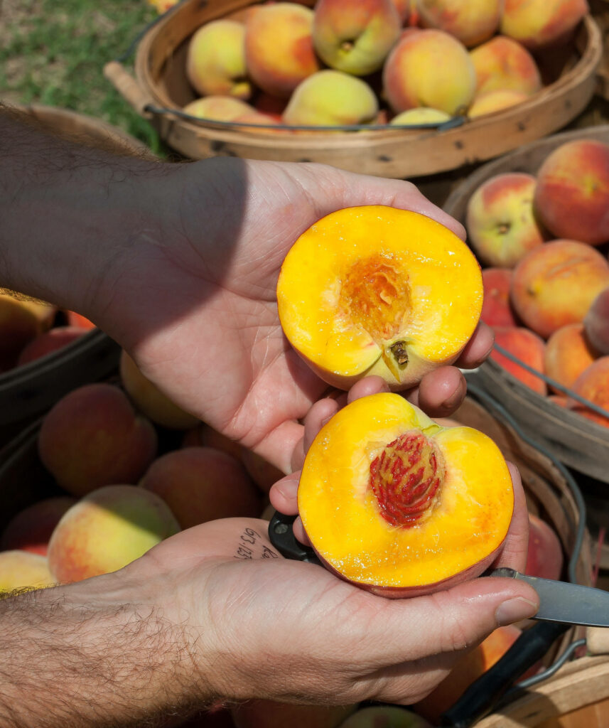Vibrant Nectarine Wallpaper: Juicy Texture & Ripe Baskets Background