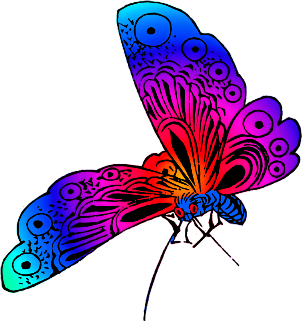 Vivid Neon Butterfly Illustration - Bold Wallpaper Background