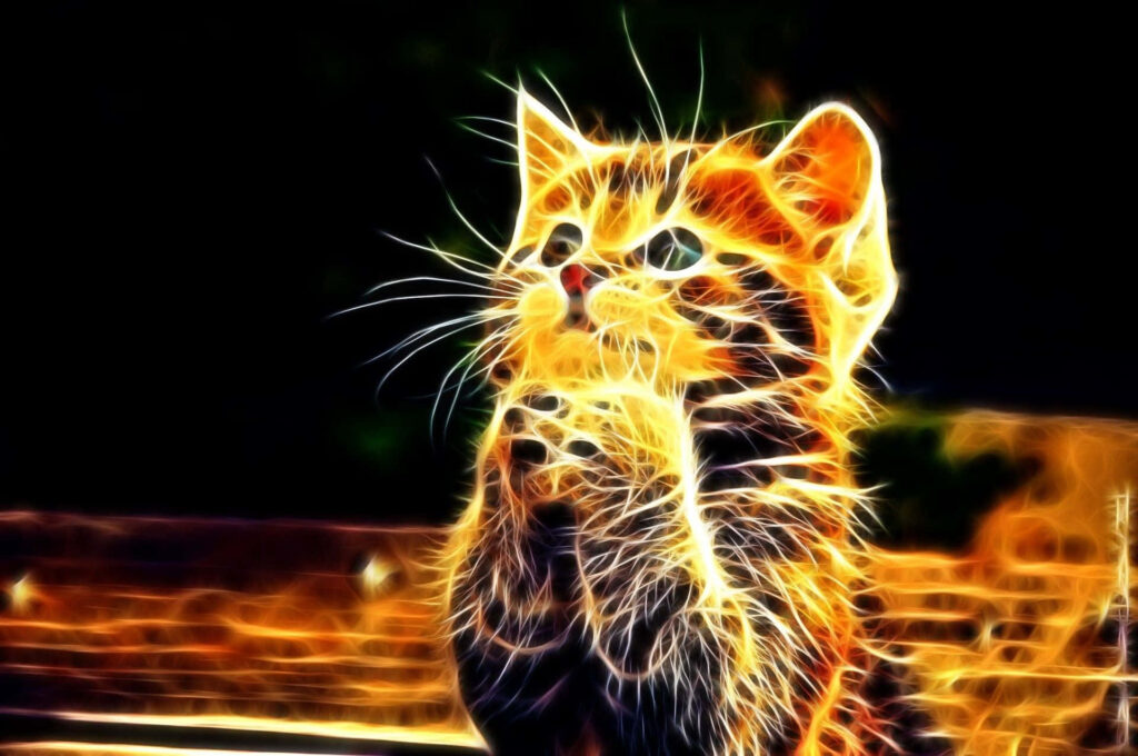 Vibrant Neon Cat Wallpaper: Whimsical Glow Against Dark Background