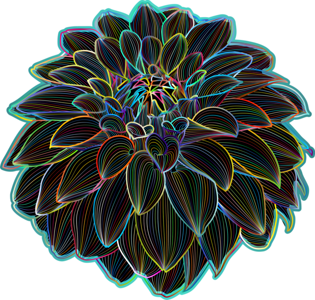 Vibrant Chrysanthemum Wallpaper: Neon Outline Floral Design
