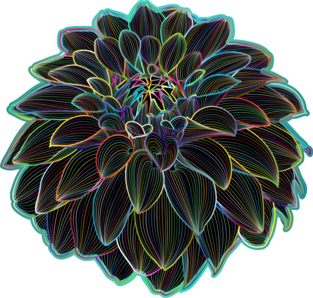 Vibrant Neon Chrysanthemum Wallpaper Background in PNG Format