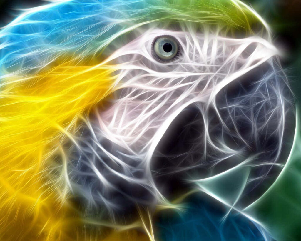 Vibrant Neon Macaw Wallpaper: Luminous Bird Head Design