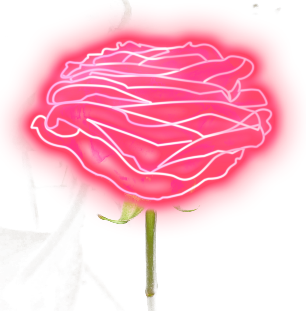 Vibrant Neon Pink Rose Wallpaper with Glowing Outline Design