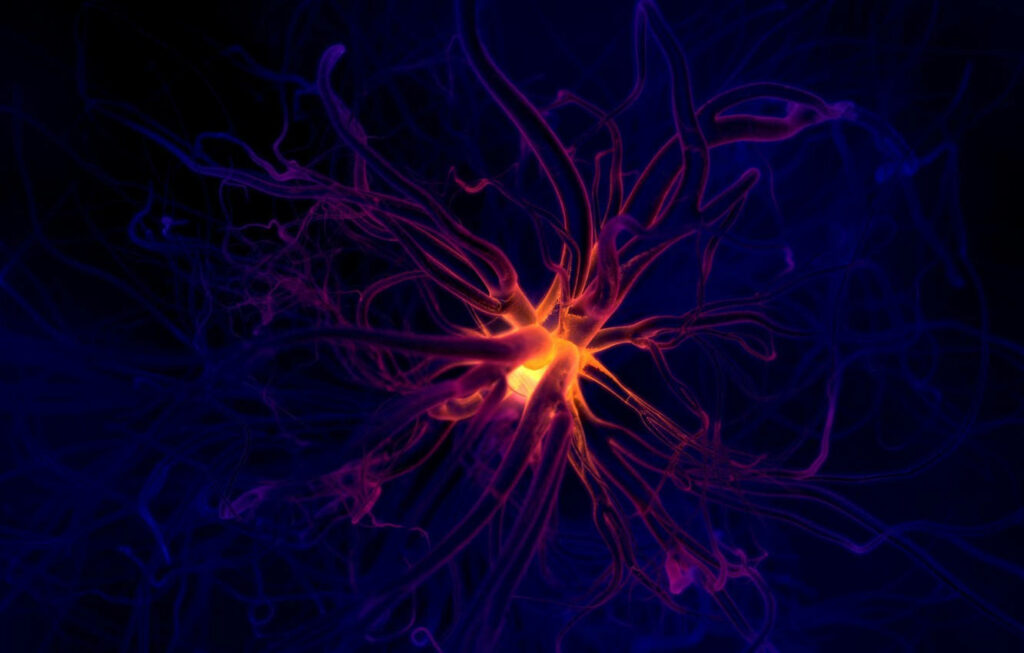 Vibrant Neuron Abstract Wallpaper: Colorful Threads on Dark Background
