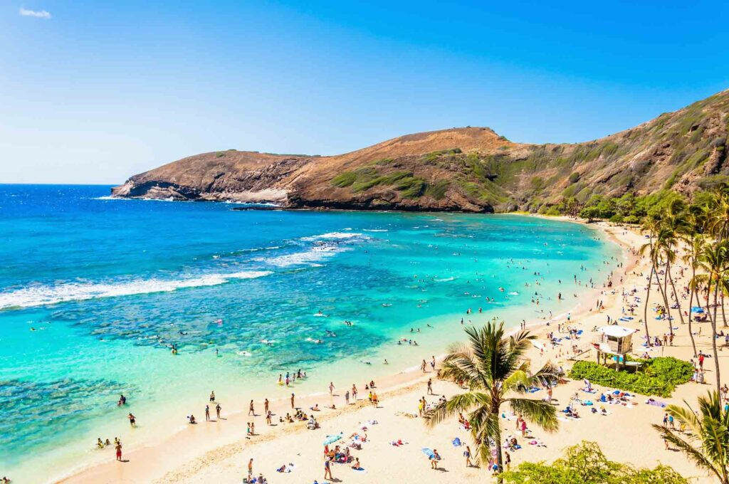 Tropical Paradise: Oahu Beach with Turquoise Waters & Lush Greenery Wallpaper