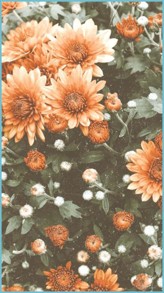 Vibrant Orange & Brown Floral Wallpaper Background - Cheerful Design