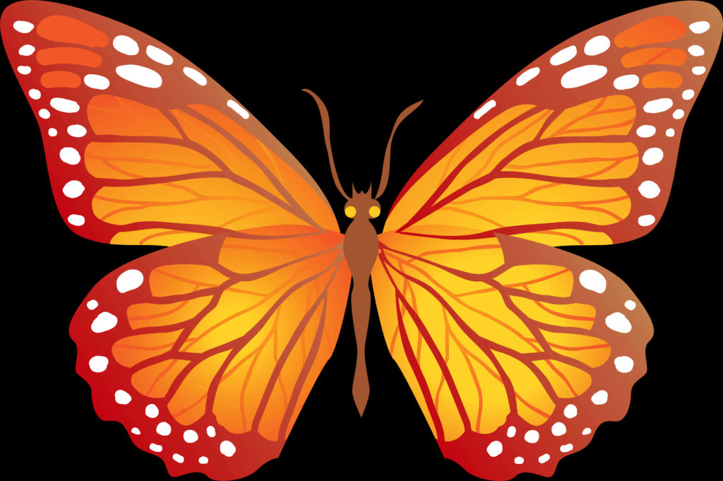 Vibrant Orange Butterfly Vector: Elegant Wallpaper Design