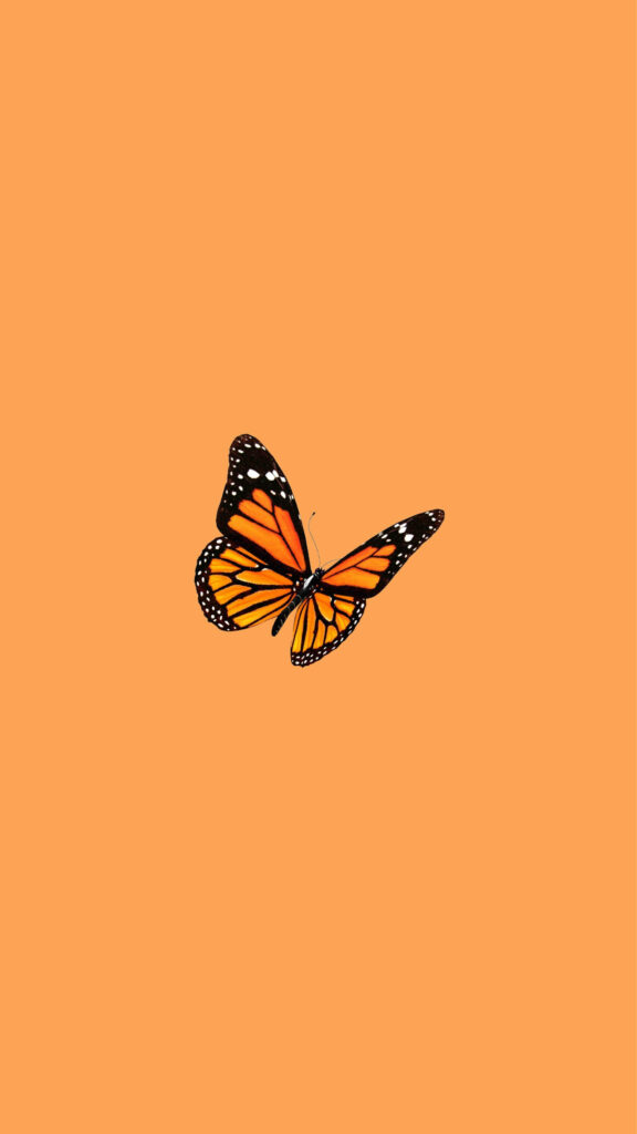 Vibrant Orange Butterfly Wallpaper: Minimalist Design Background