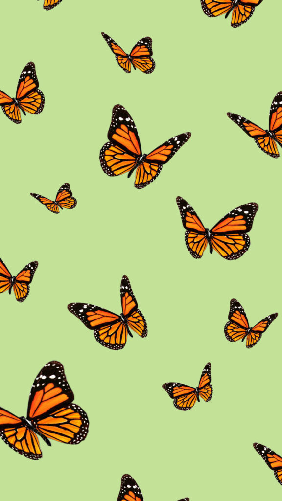 Fresh Aesthetic Wallpaper: Orange Butterflies on Light Green Background