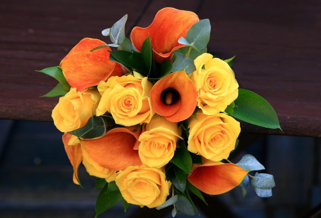 Vibrant Orange Calla Lilies & Yellow Roses Wallpaper on Dark Background