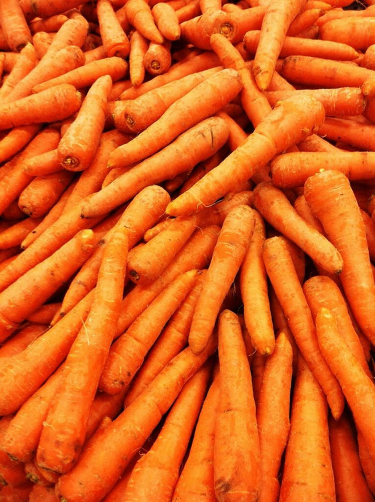 Vibrant orange carrots pile wallpaper with fresh earthy tones and natural vegetable texture background