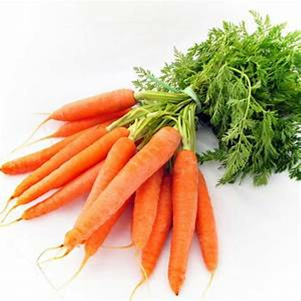 Vibrant Orange Carrots with Green Tops - Fresh Wallpaper Background