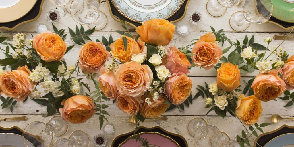 Vibrant Orange & Cream Roses Wallpaper with Rustic Wooden Background