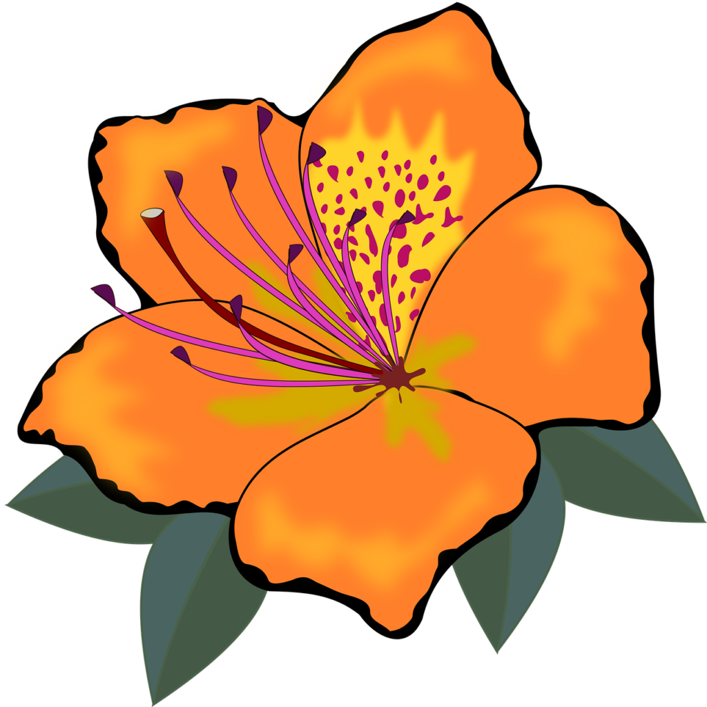 Vibrant Orange Flower Clipart Wallpaper - Lively Floral Background